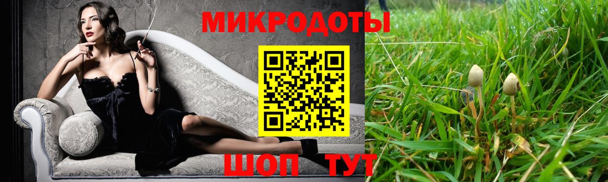 Ликино-Дулёво  Галлюциногенные грибы MAGIC MUSHROOMS  Вход с VPN 